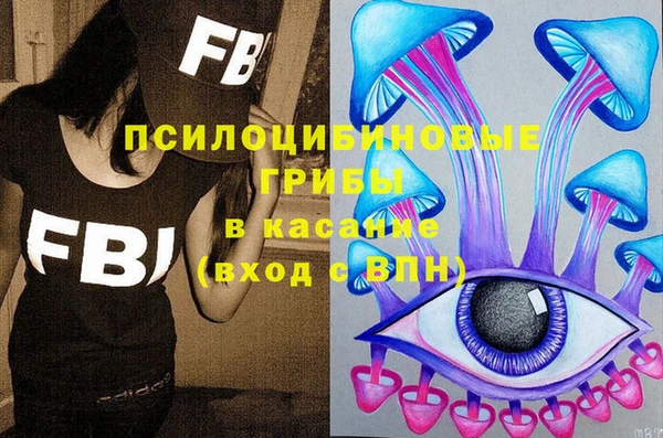 бошки Абаза