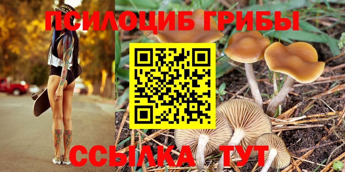 Галлюциногенные грибы мицелий  Галлюциногенные грибы Psilocybine cubensis  Вход с VPN  Отрадный 